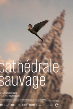 Cathédrale Sauvage (2022)