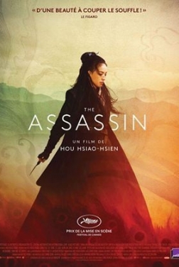 The Assassin (2016)