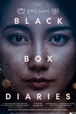 Black Box (2025)